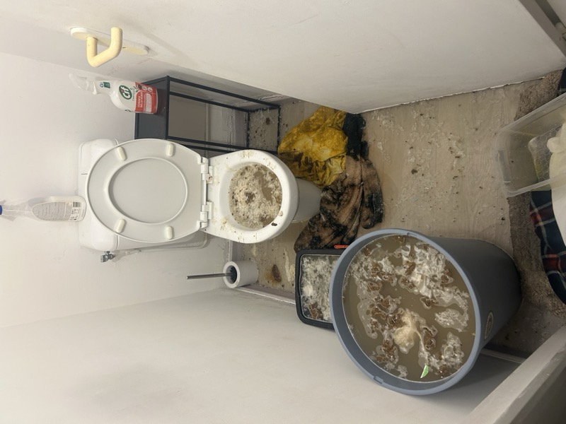 Avant intervention : WC bouché avec débordement