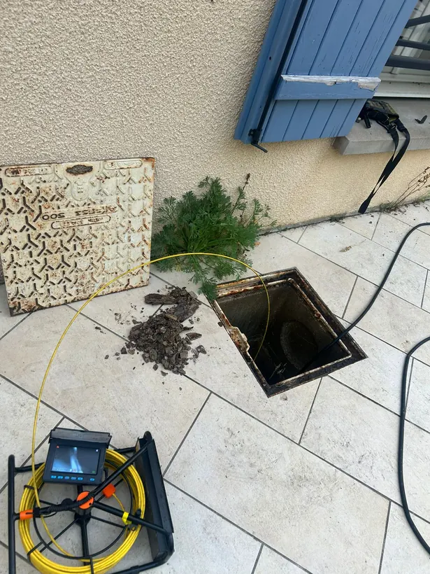 Recherche de fuite depuis un regard extérieur : racines extraites de la canalisation et dérouleur de caméra AquaBat